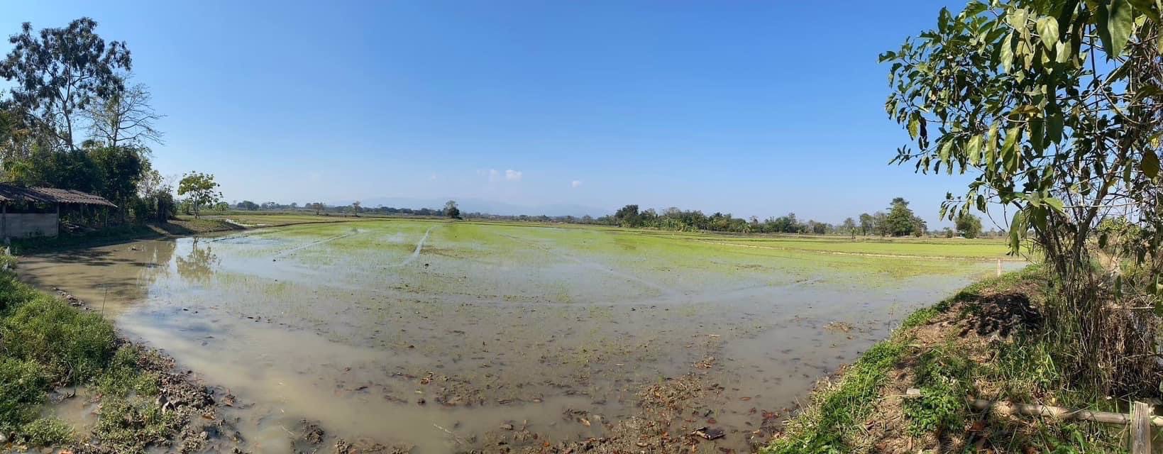 ขายที่ดิน-ทำเลดี-ใกล้สนามบินเชียงราย