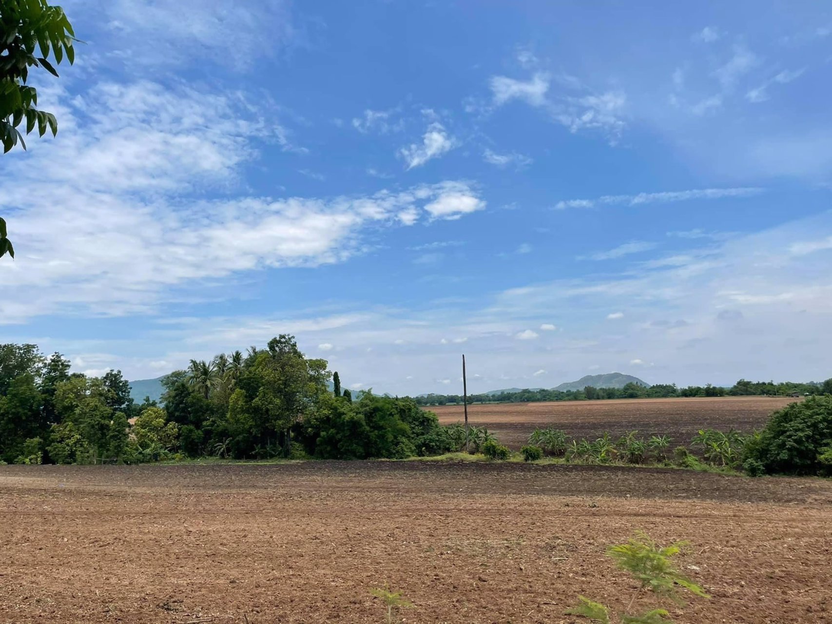 ขายที่ดิน-2-งาน-34-ตรว-ตดงดินแดง-อโคกสำโรง-จลพบุรี-330000-฿-