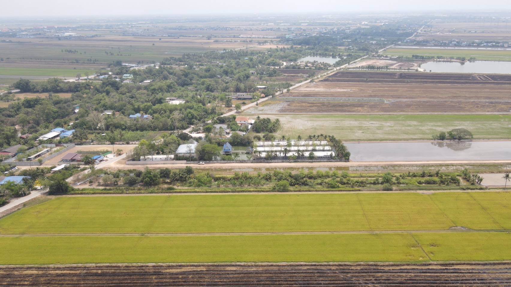 ขายที่ดิน-คลอง-8-ลำลูกกา-4-ไร่-ที่สวย-ทำเลดี-อนาคตไกล