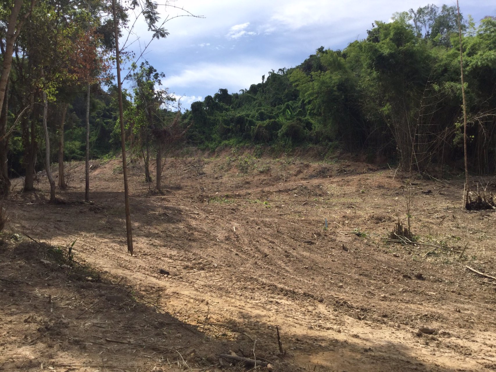 ขายที่ดินสวย-เนื้อที่-3ไร่-ไม่ต้องถม-เป็นโฉนดทั้งแปลง-ปลอดภาระ-โอบล้อมด้วยขุนเขา