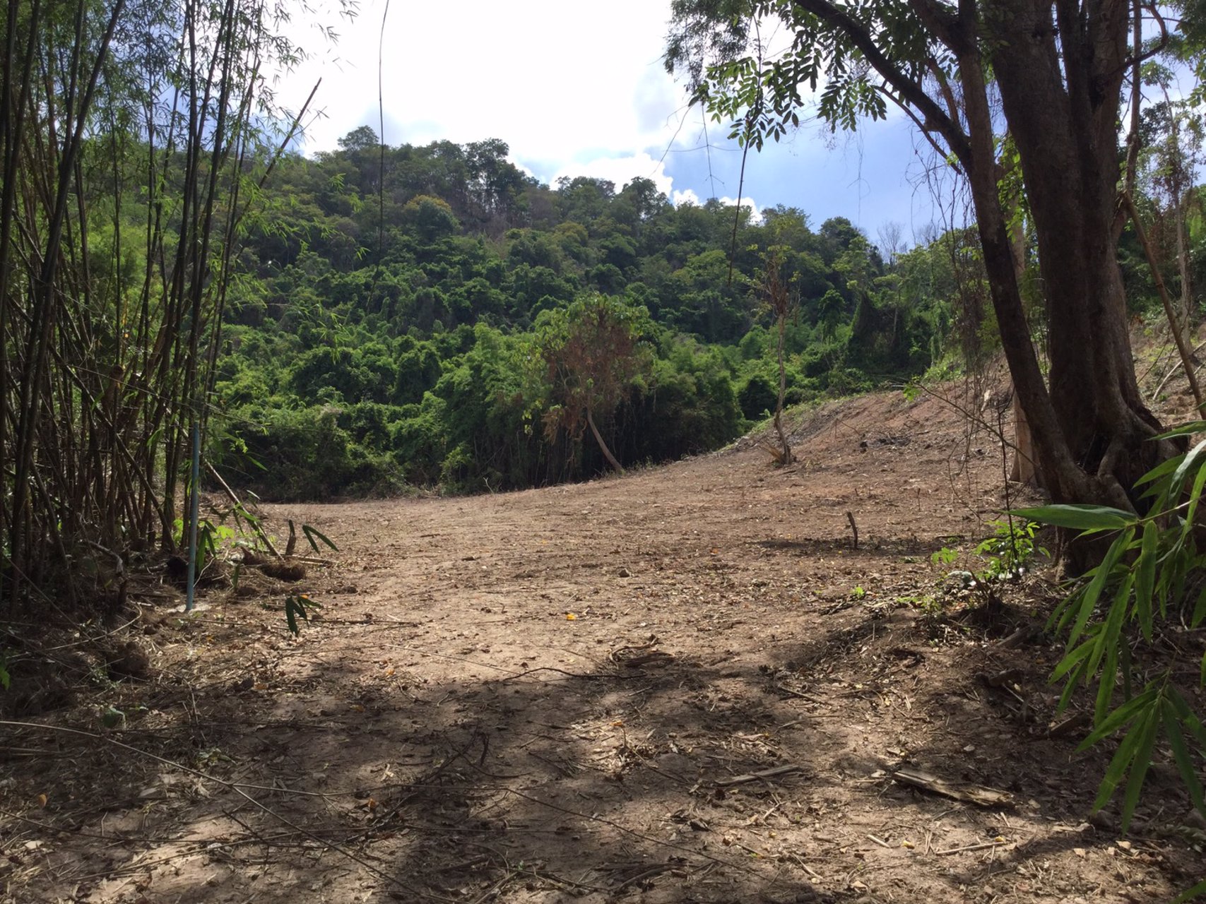 ขายที่ดินสวย-เนื้อที่-3ไร่-ไม่ต้องถม-เป็นโฉนดทั้งแปลง-ปลอดภาระ-โอบล้อมด้วยขุนเขา