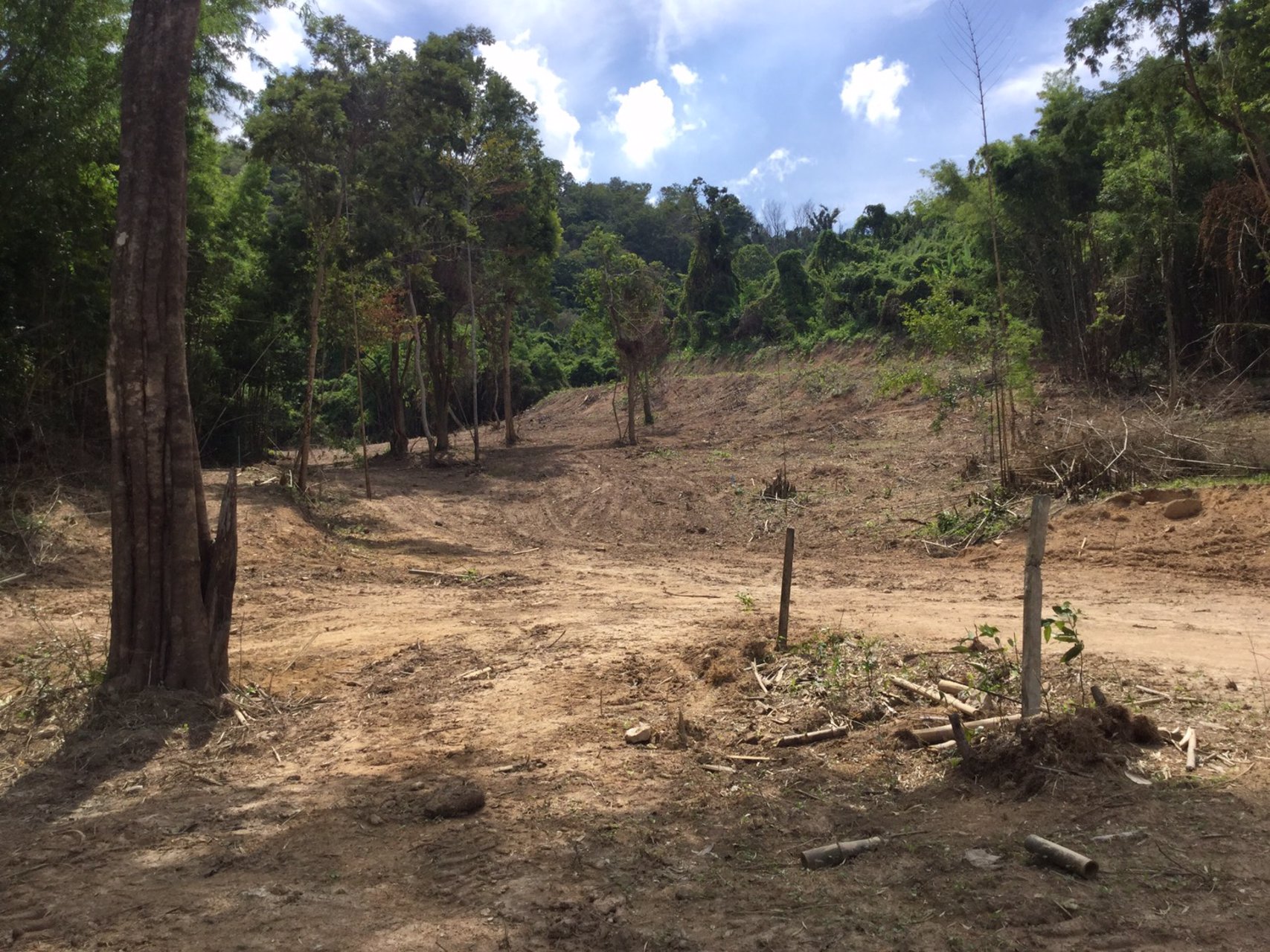 ขายที่ดินสวย-เนื้อที่-3ไร่-ไม่ต้องถม-เป็นโฉนดทั้งแปลง-ปลอดภาระ-โอบล้อมด้วยขุนเขา