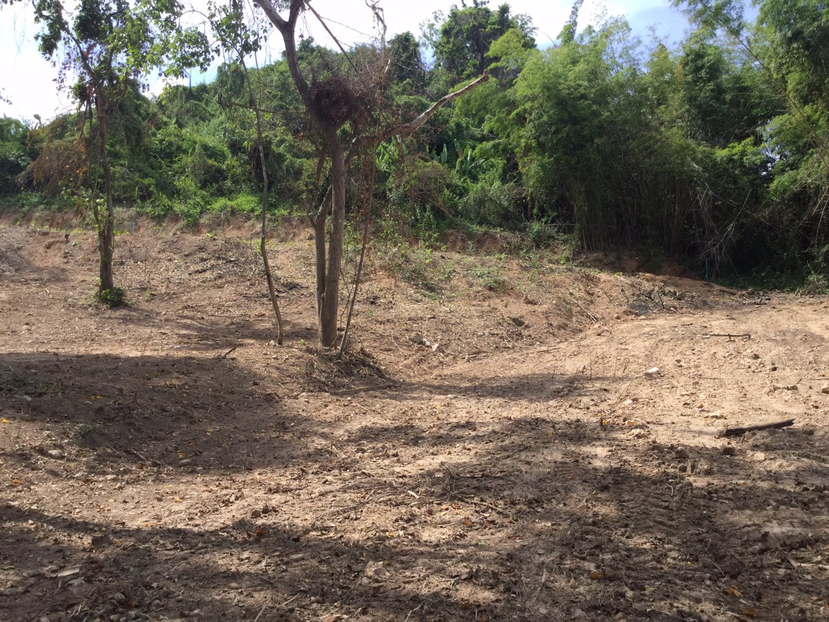 ขายที่ดินสวย-เนื้อที่-3ไร่-ไม่ต้องถม-เป็นโฉนดทั้งแปลง-ปลอดภาระ-โอบล้อมด้วยขุนเขา