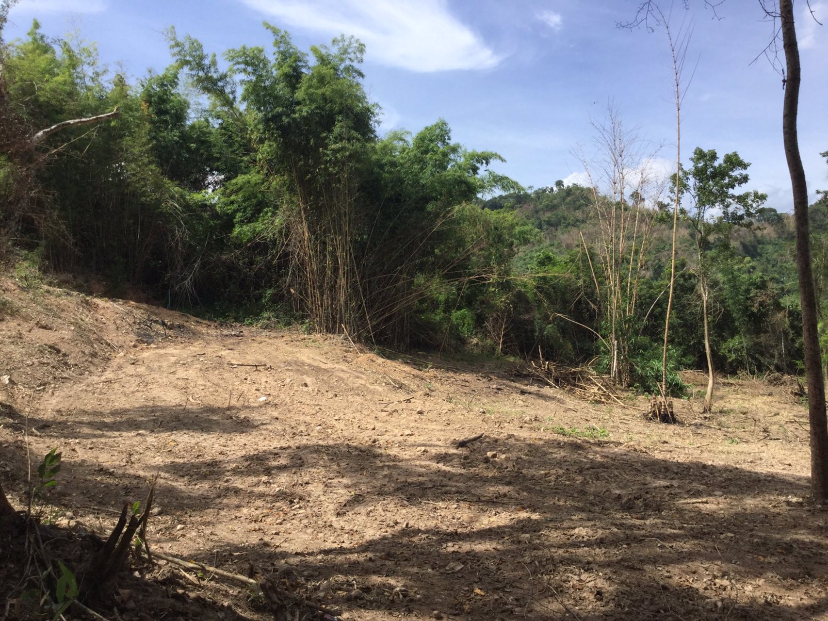 ขายที่ดินสวย-เนื้อที่-3ไร่-ไม่ต้องถม-เป็นโฉนดทั้งแปลง-ปลอดภาระ-โอบล้อมด้วยขุนเขา