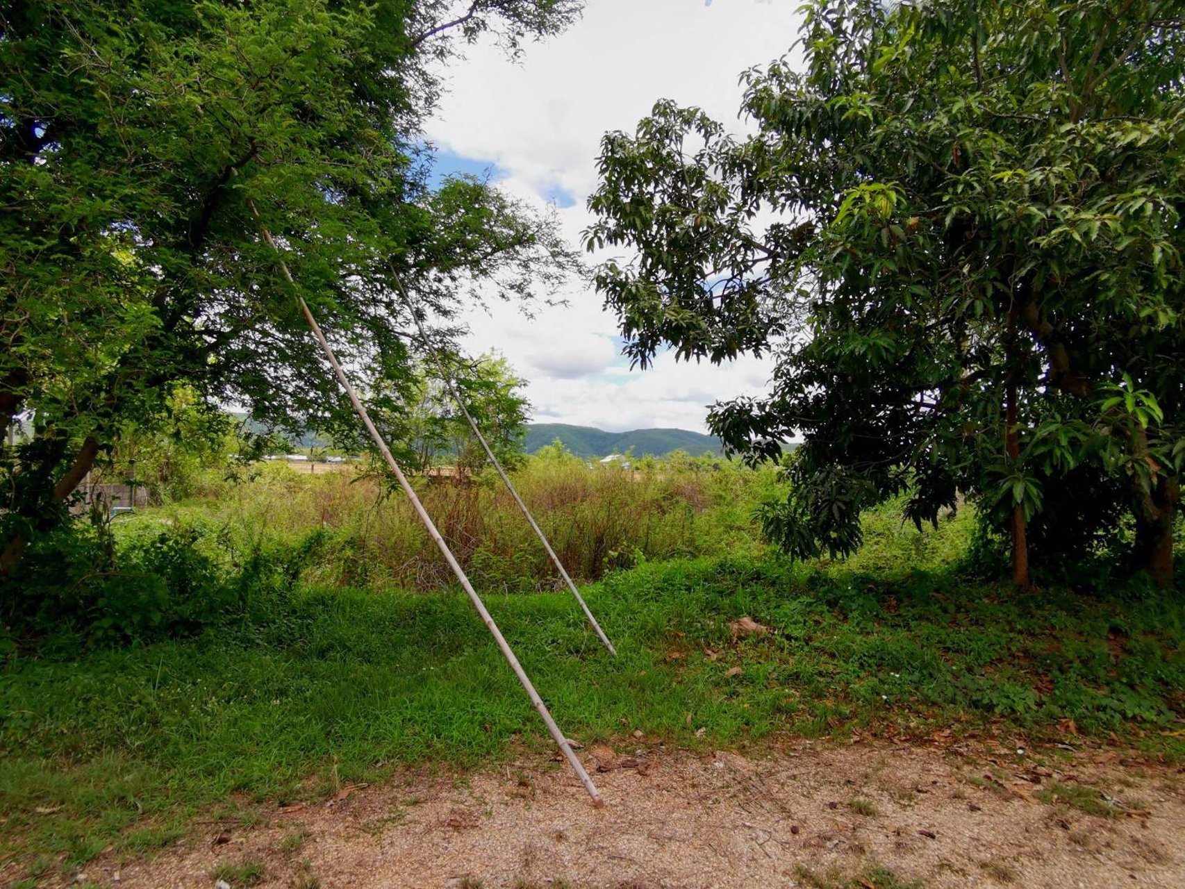 ขายสวนลำไย-21-ไร่-ขายรวมแค่-15-ล้านบาท-ตำบลเหมืองจี้-จังหวัดลำพูน