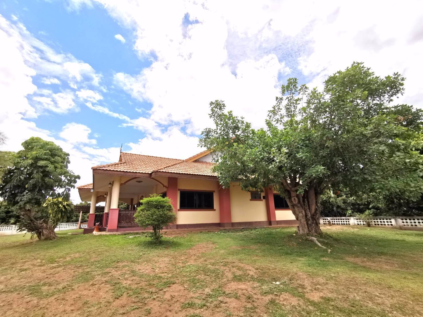 ขายสวนลำไย-21-ไร่-ขายรวมแค่-15-ล้านบาท-ตำบลเหมืองจี้-จังหวัดลำพูน