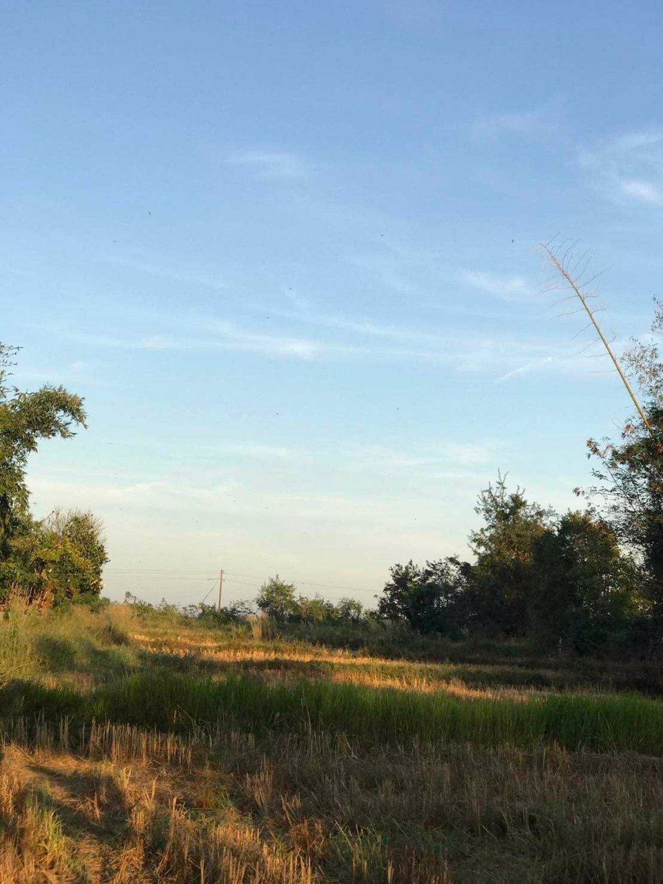 ขายที่ดินสวย-ทำเลทอง-ติดริมแม่น้ำโขง-เจ้าของขายเอง-