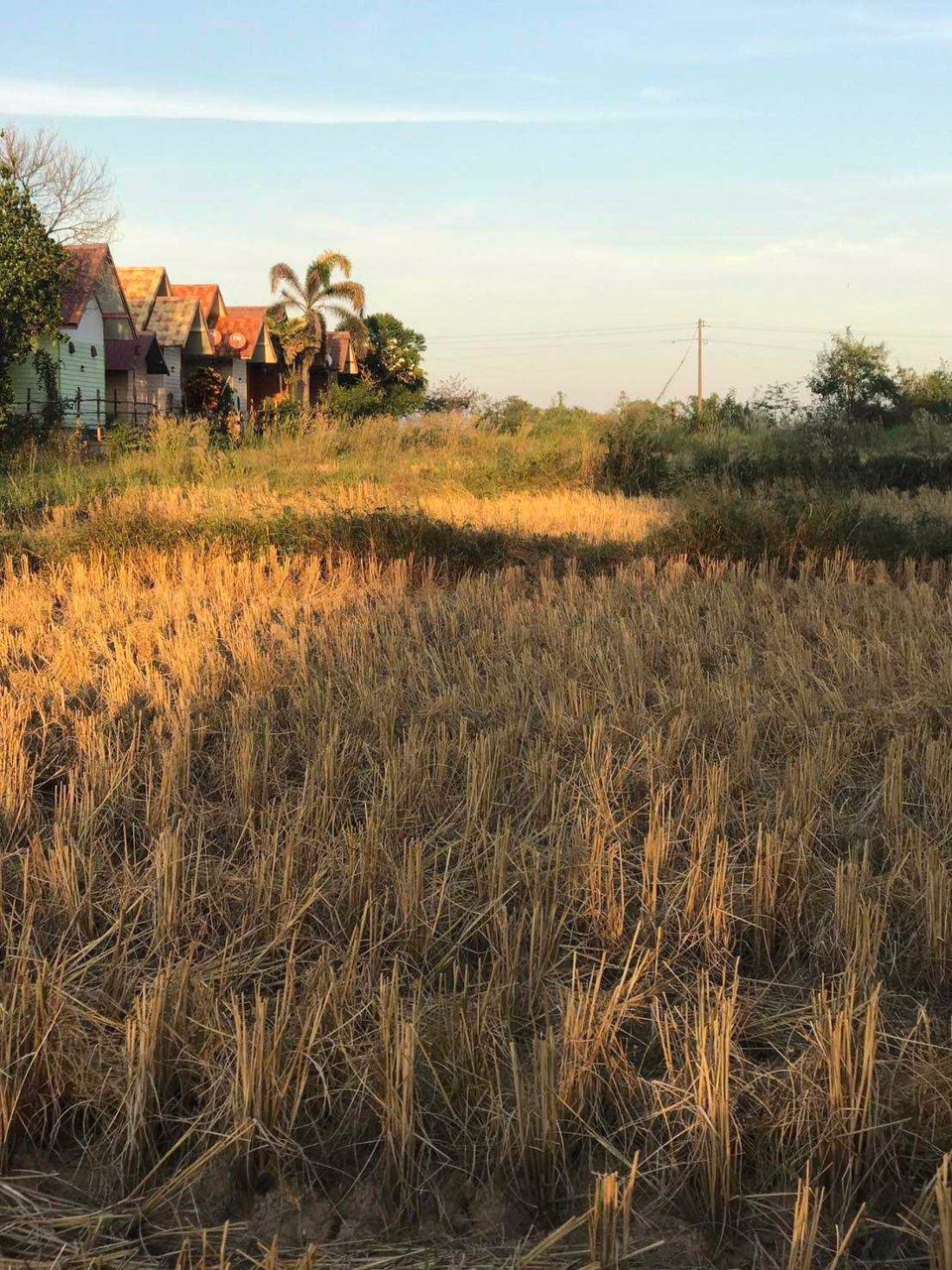 ขายที่ดินสวย-ทำเลทอง-ติดริมแม่น้ำโขง-เจ้าของขายเอง-