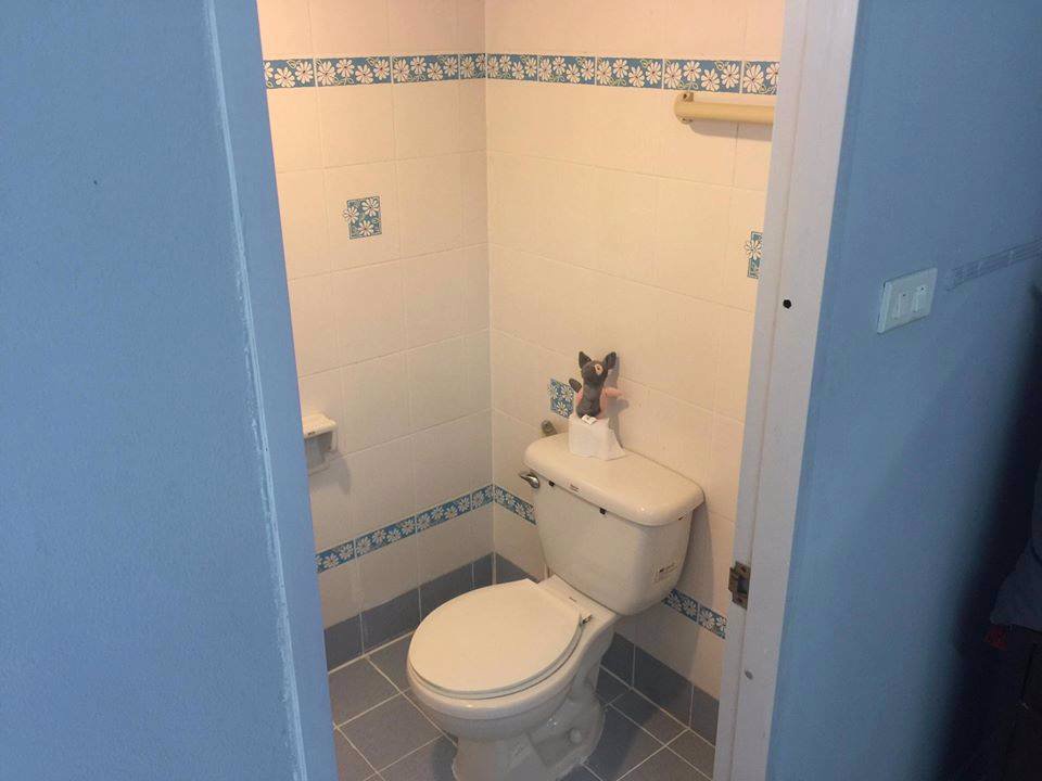 ห้องพักรายเดือนและรายวัน-เดินทางสะดวกติดถนนใหญ่-ใกล้สถาบันการจัดการปัญญาภิวัฒน์-ใกล้ตึกจัสมิน