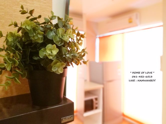 ให้เช่า-ลุมพินีพาร์ค-นวมินทร์-ศรีบูรพา-ตึก-d-ห้องมุม-23-ตรม-แต่งสวยชวนฝัน