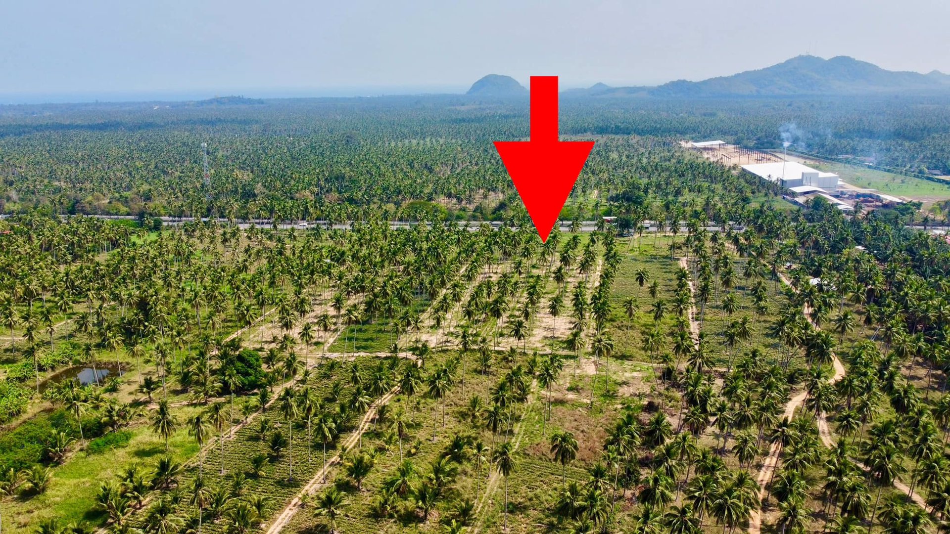 ขายด่วน-ที่ดินติดถนนเพชรเกษม-ทับสะแก