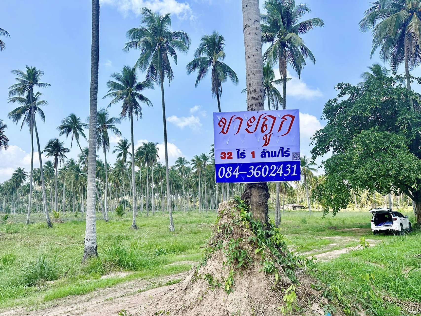 ขายด่วน-ที่ดินติดถนนเพชรเกษม-ทับสะแก