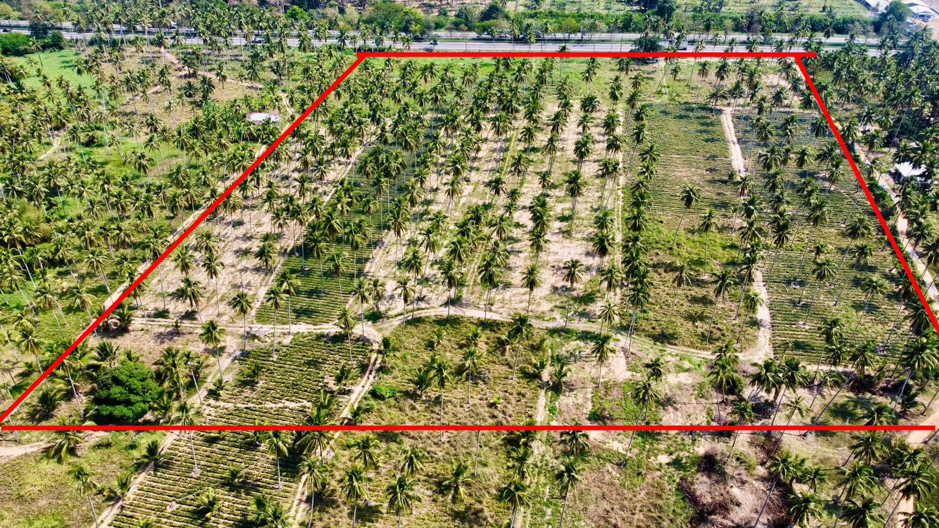 ขายด่วน-ที่ดินติดถนนเพชรเกษม-ทับสะแก