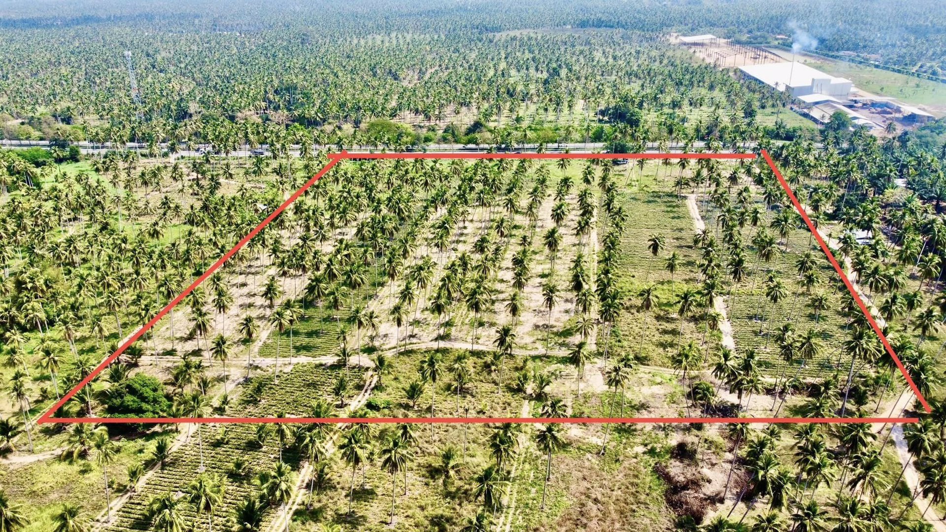 ขายด่วน-ที่ดินติดถนนเพชรเกษม-ทับสะแก