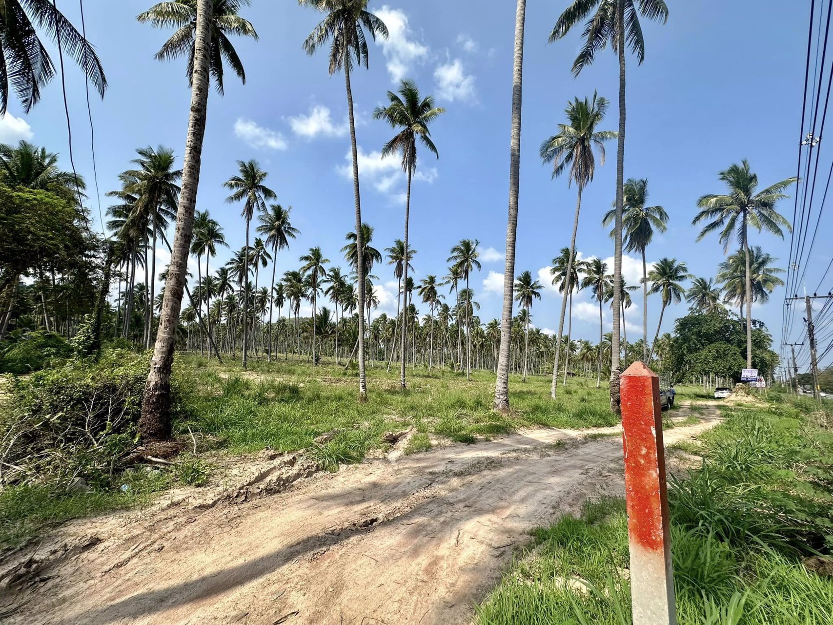 ขายด่วน-ที่ดินติดถนนเพชรเกษม-ทับสะแก