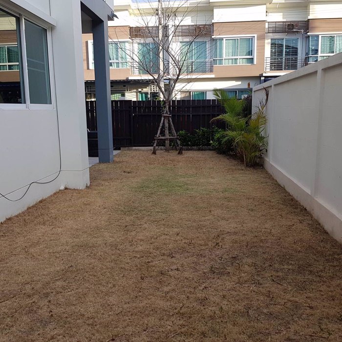 ขายบ้านเดี่ยว-2-ชั้น-42-ตรวา-ราคาพิเศษ-29-ล้านบาท-แต่งสวย-เฟอร์ฯครบ-ใกล้โรงเรียนอัสสัมชัญ-พระราม2