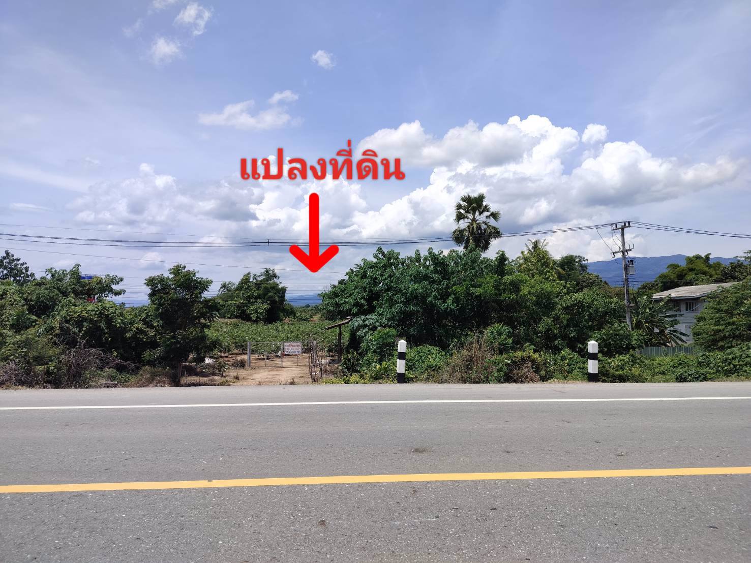 ที่ดินทำเลทอง-ทำเลค้าขาย-เนื้อที่-2-ไร่-1งาน-626-ตารางวา