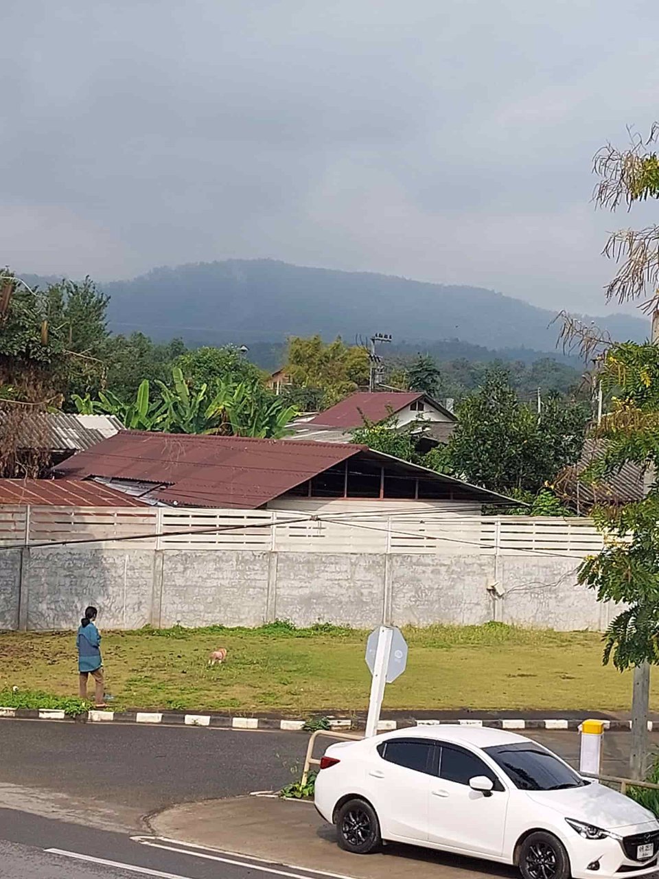 ขายด่วน-ที่ดินพร้อมกิจการร้านวัสดุก่อสร้าง-เป็นอาคารพาณิชย์2ชั้น