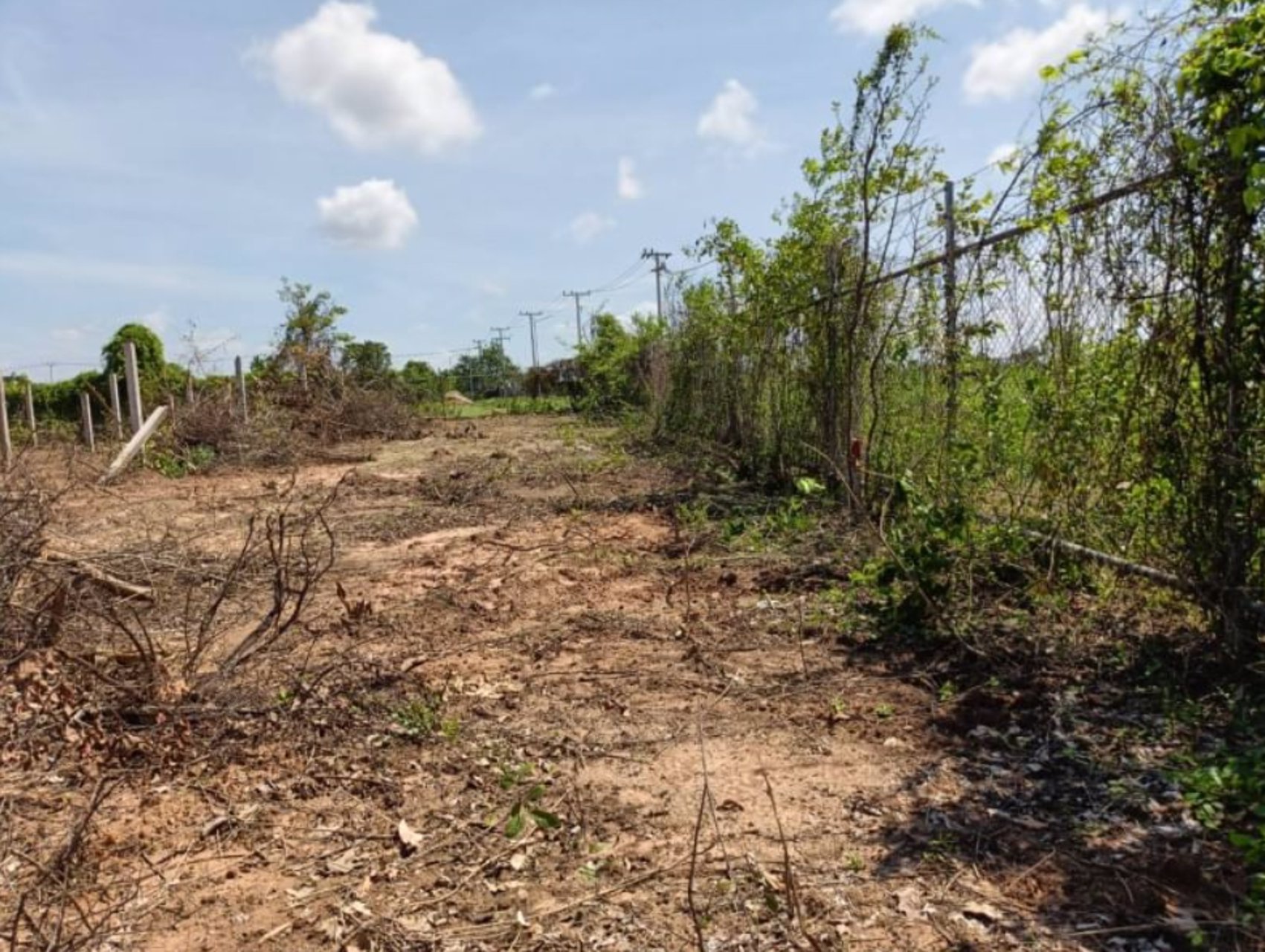 ขายที่ดิน12ไร่-แบ่งขาย-ในเมืองหนองคาย