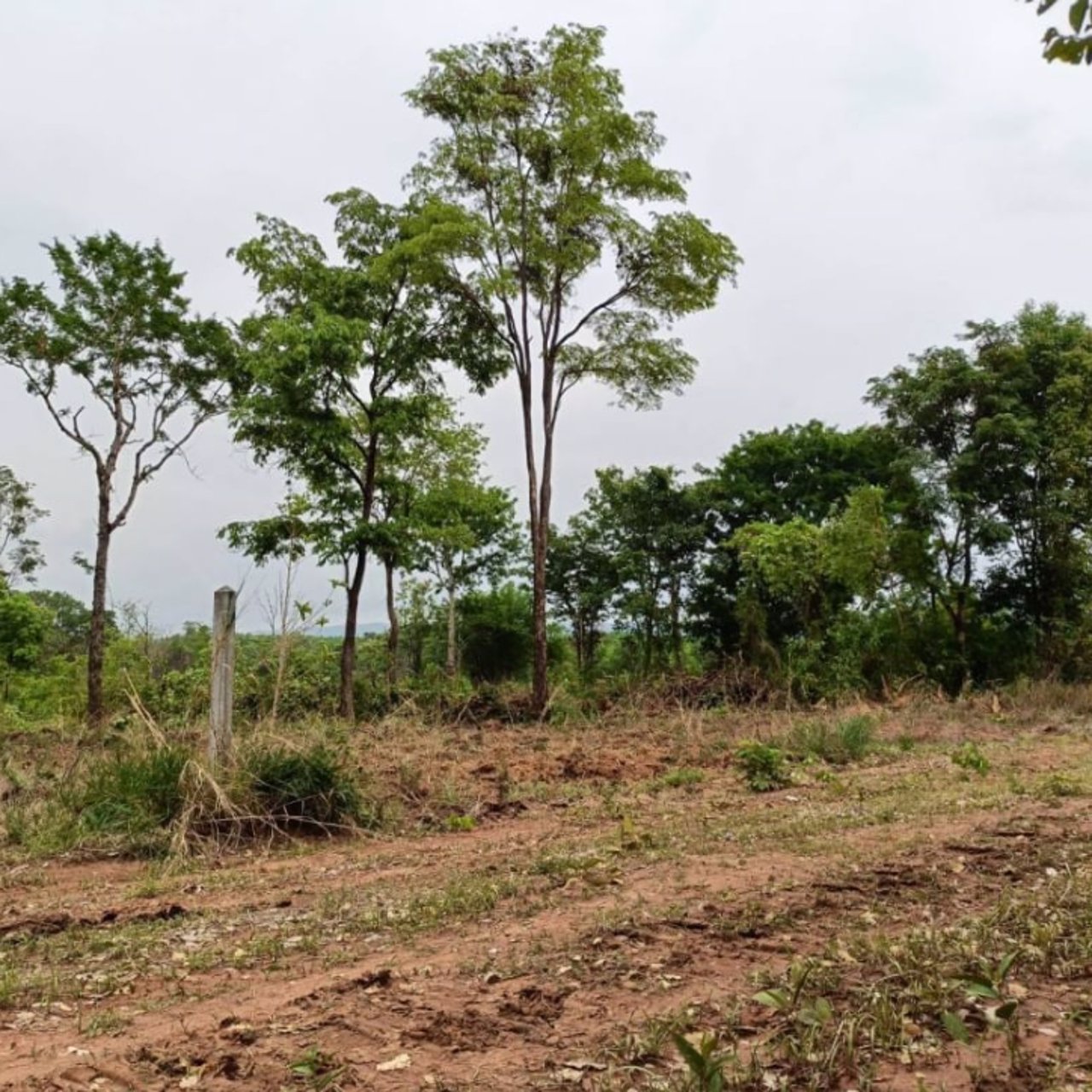 ขายที่ดินทางเข้าเยื้องร้านยางนาช๊อป-2-ไร่