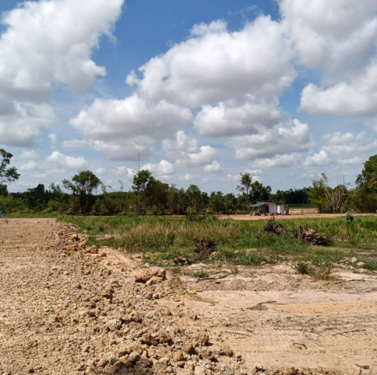 ขายที่ดินทางเข้าเยื้องร้านยางนาช๊อป-2-ไร่