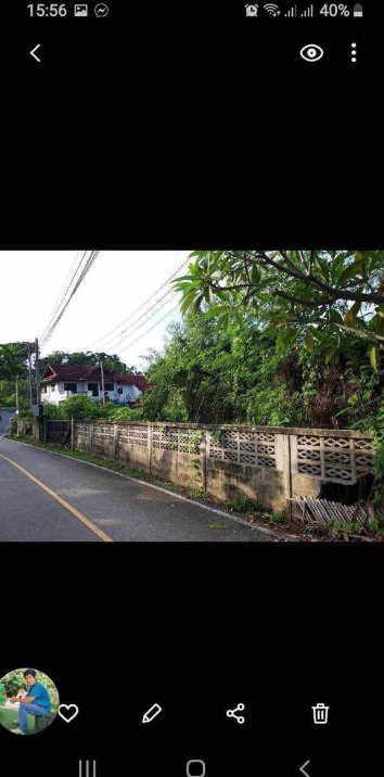 ขายที่ดินทำบ้านพัก-ติดถนนคอนกรีต-มีน้ำ-ไฟฟ้า