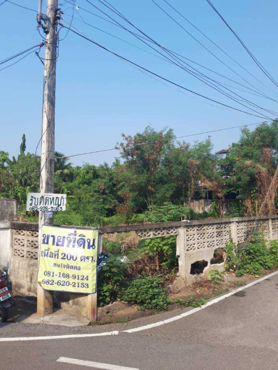 ขายที่ดินทำบ้านพัก-ติดถนนคอนกรีต-มีน้ำ-ไฟฟ้า