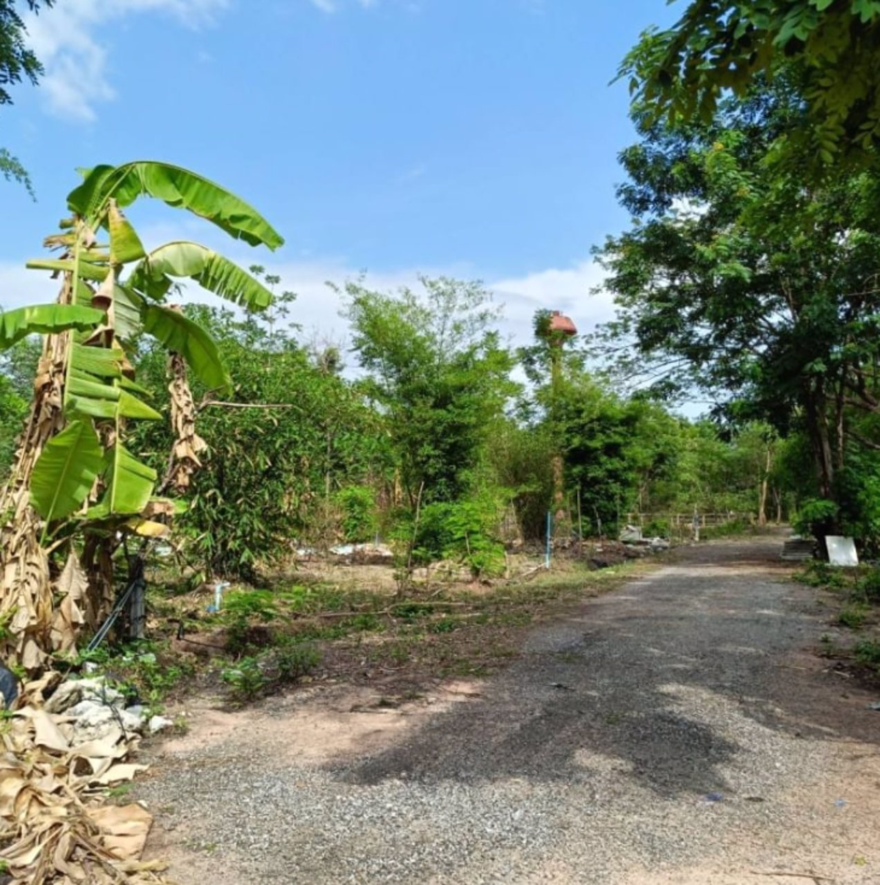 ขายที่ดินติดรั้ว-รพศูนย์มะเร็งอุดร-138ตรว