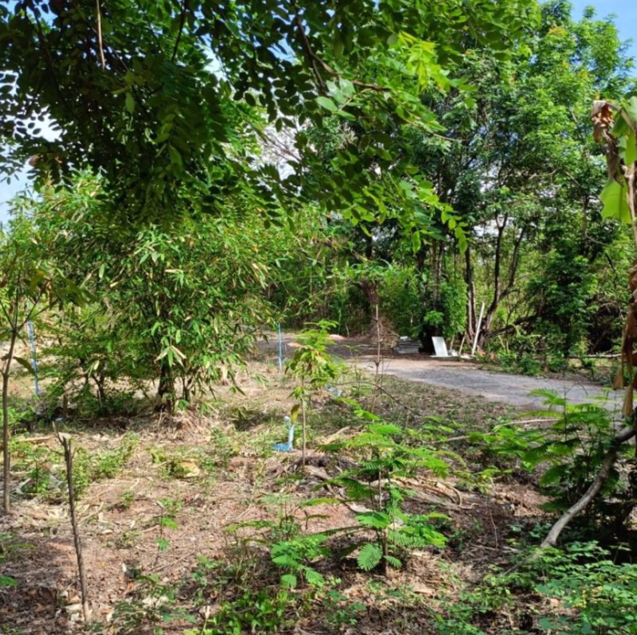 ขายที่ดินติดรั้ว-รพศูนย์มะเร็งอุดร-138ตรว