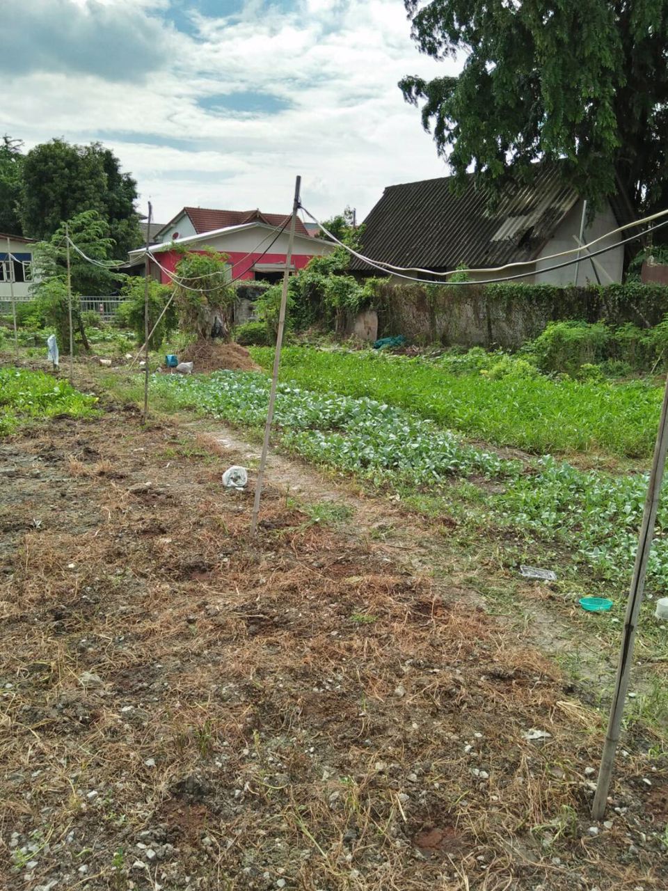 ขายที่ดิน-295-ตรว-ซอยนวมินทร์-88-กทม