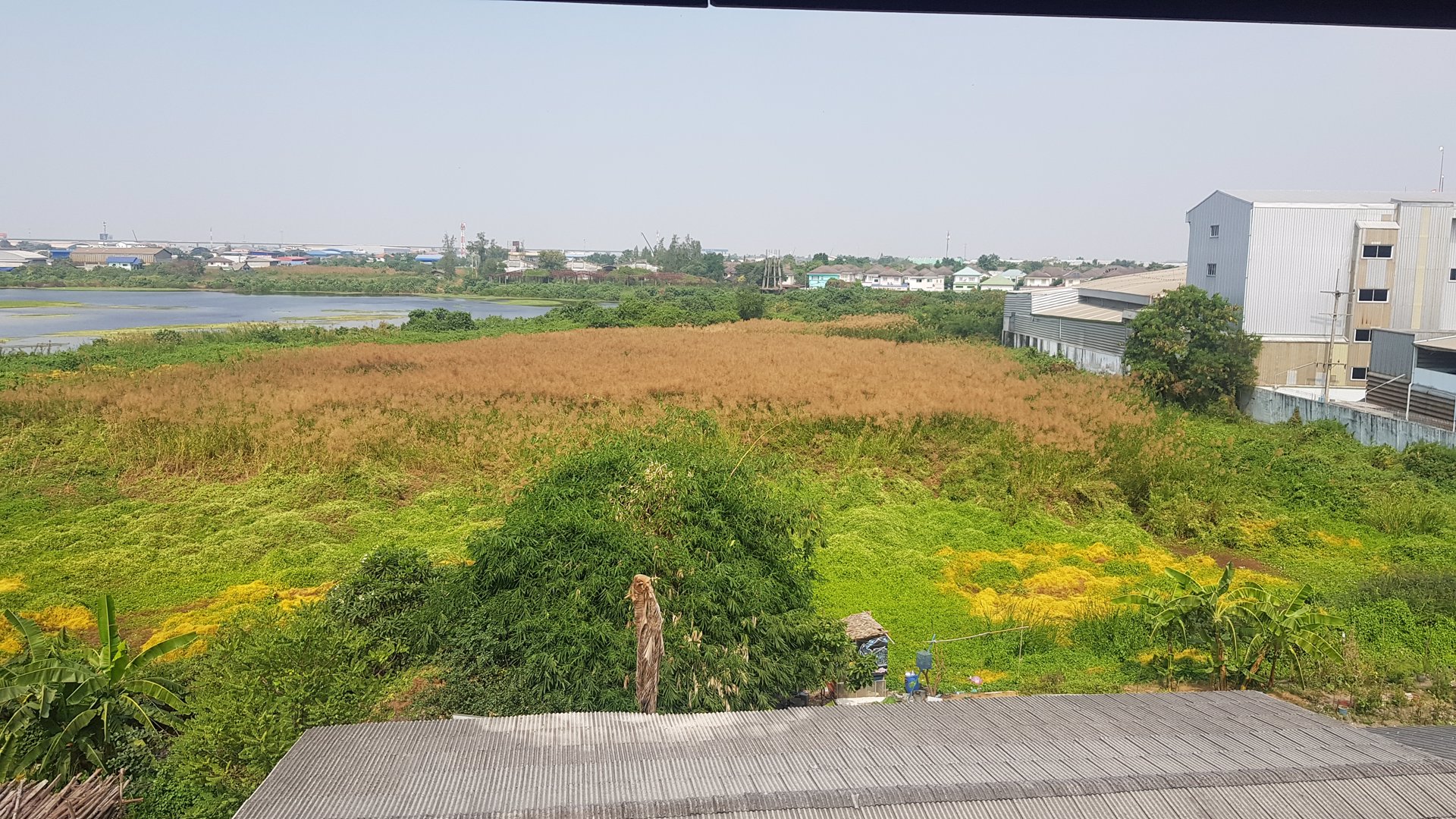 ให้เช่าที่ดิน-ตั้งอยู่ระหว่างซอยบางกระดี่-32-กับซอยแสมดำ-17-เนื้อที่-20-1-262-ไร่