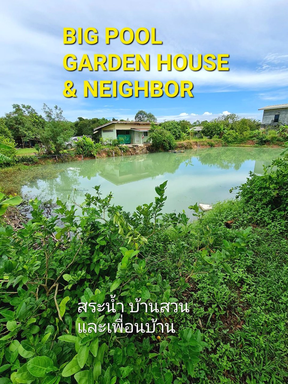 ด่วนขายถูก-โฉนดสวนผสมทุเรียนหมอนทอง-ระยอง-ติดถนนลาดยาง-ไร่ละ790000บาท