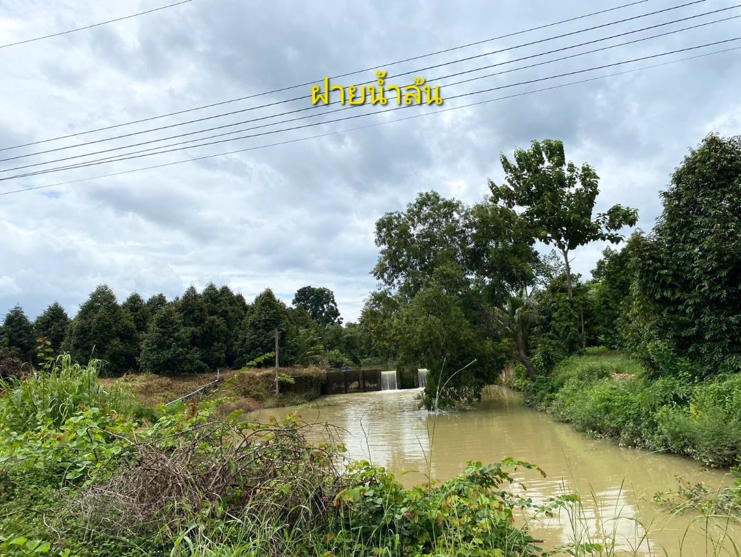 ด่วนขายถูก-โฉนดสวนผสมทุเรียนหมอนทอง-ระยอง-ติดถนนลาดยาง-ไร่ละ790000บาท