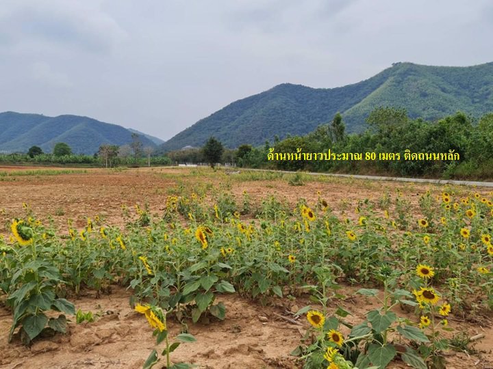 ขายถูกที่ดินสวย-วิวเขา-6-ไร่-ติดถนนลาดยางเข้าโครงการชั่งหัวมัน-ท่ายาง-เพชรบุรี-ทำรีสอร์ท