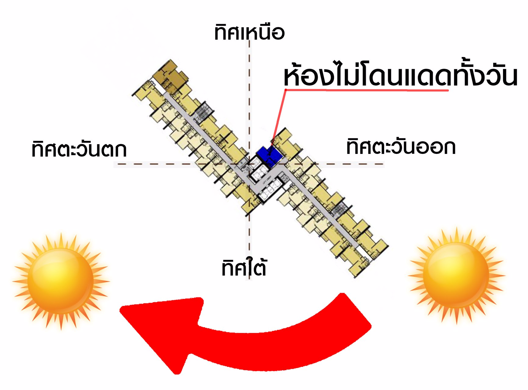 ขาย-the-line-สุขุมวิท-101
