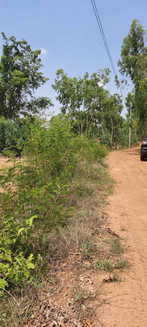 ขายที่ดิน-ที่นา-ติดคลอง-เนื้อที่-9-3-46-ไร่