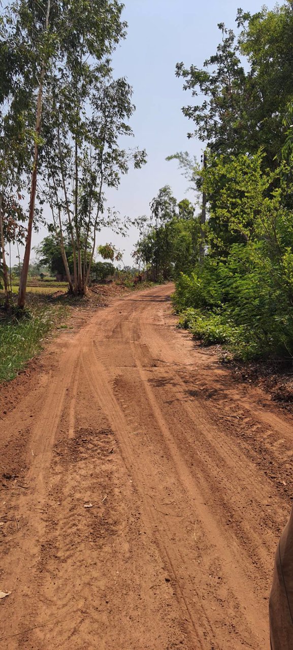 ขายที่ดิน-ที่นา-ติดคลอง-เนื้อที่-9-3-46-ไร่