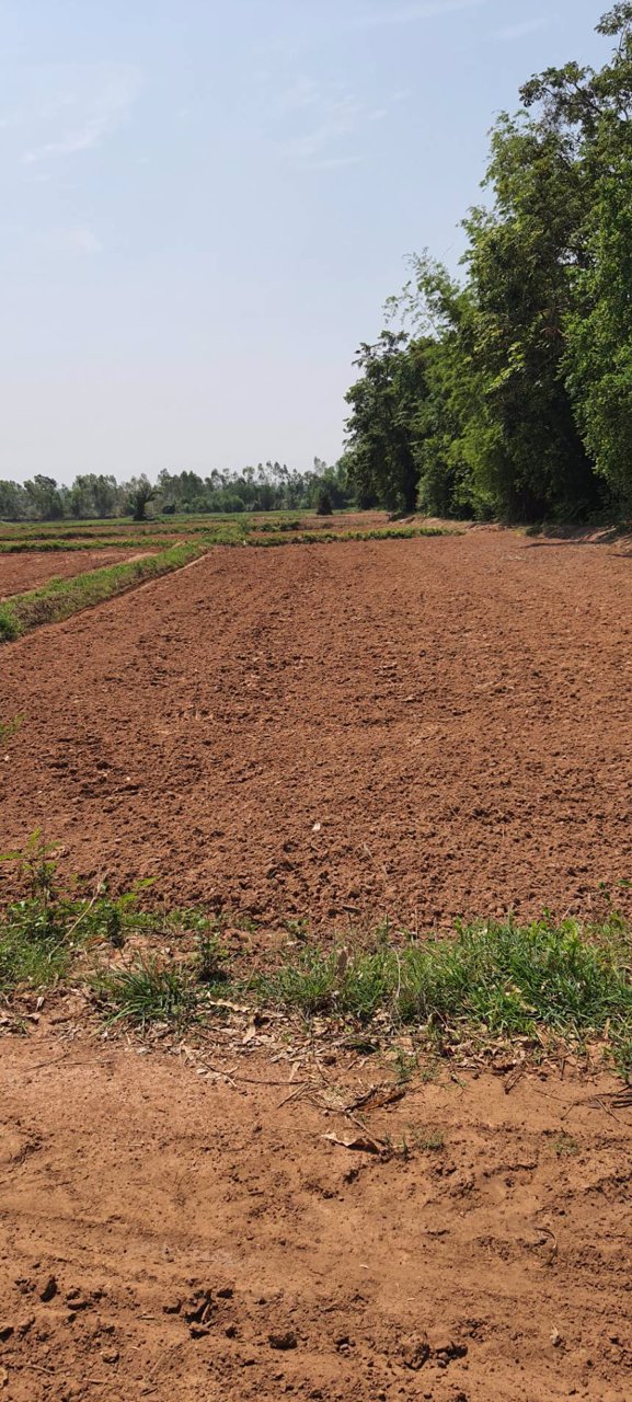 ขายที่ดิน-ที่นา-ติดคลอง-เนื้อที่-9-3-46-ไร่