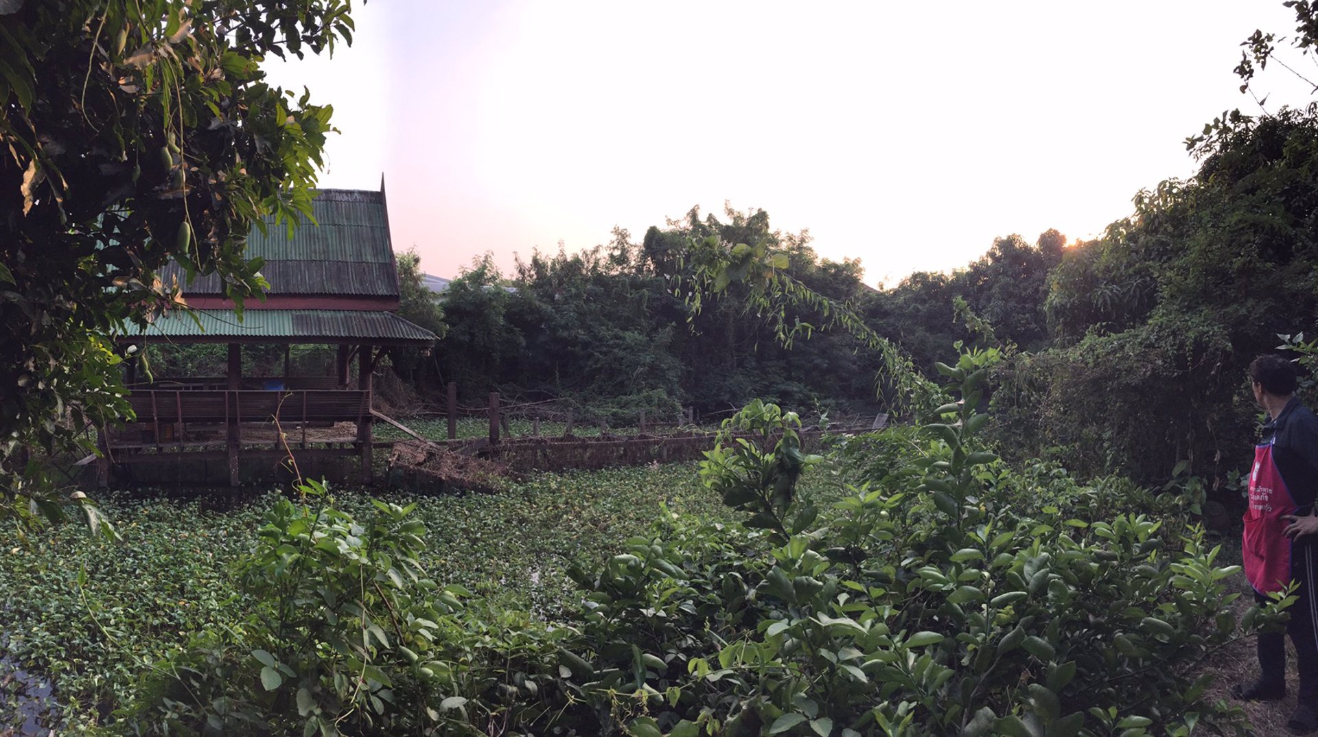 ขายที่ดินเปล่า-ซอยโยธินพัฒนา3-บางกะปิ-กรุงเทพฯ