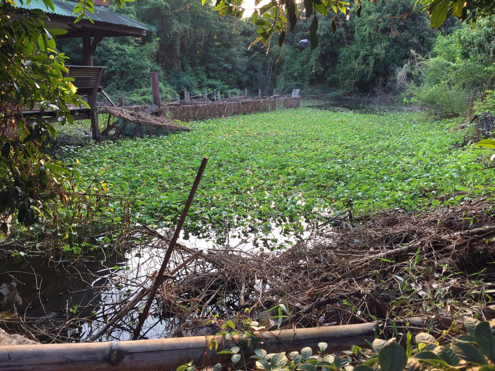 ขายที่ดินเปล่า-ซอยโยธินพัฒนา3-บางกะปิ-กรุงเทพฯ