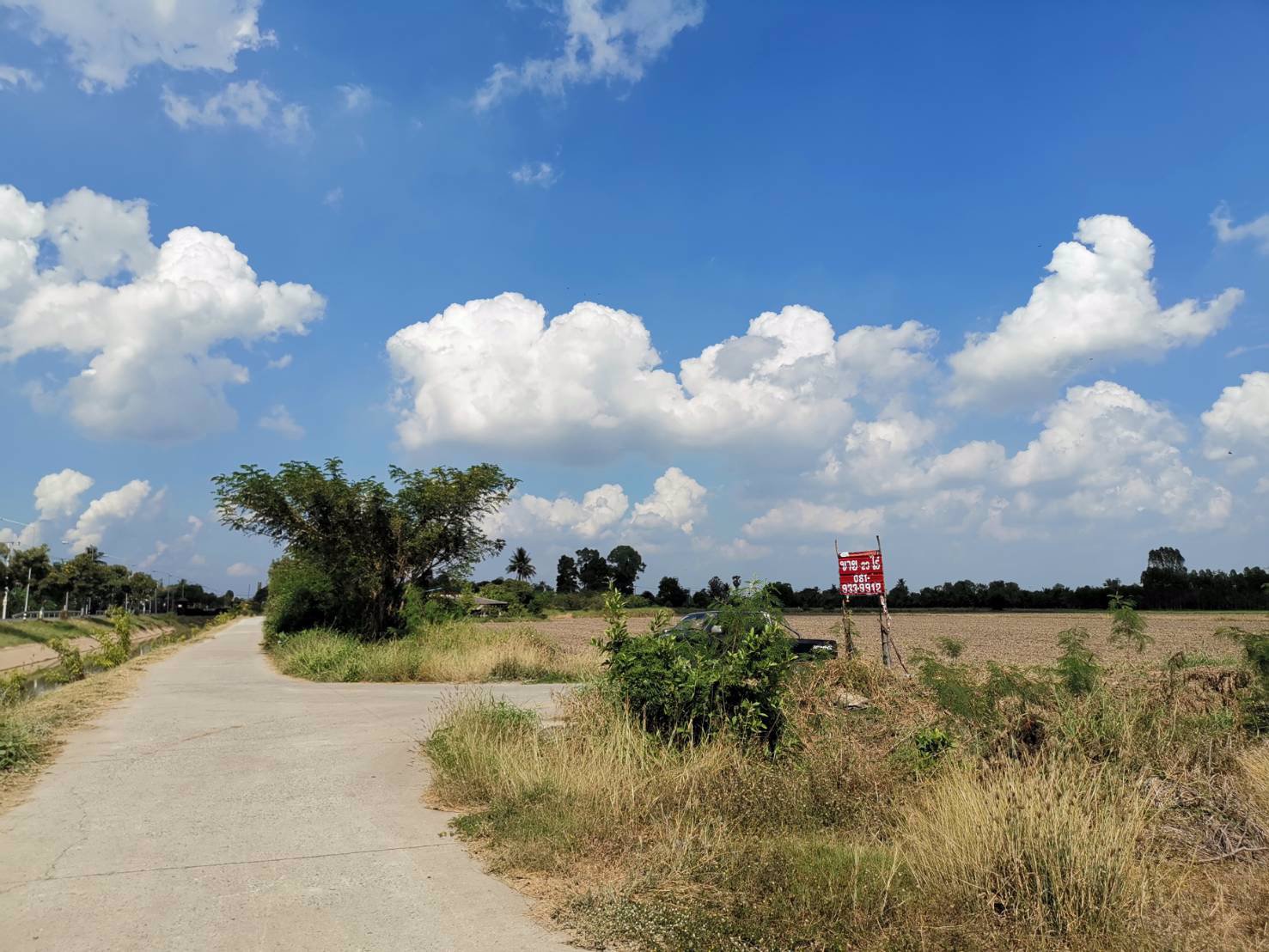 ขายที่ดิน-23-ไร่-ตบ้านพราน-อแสวงหา-จอ่างทอง