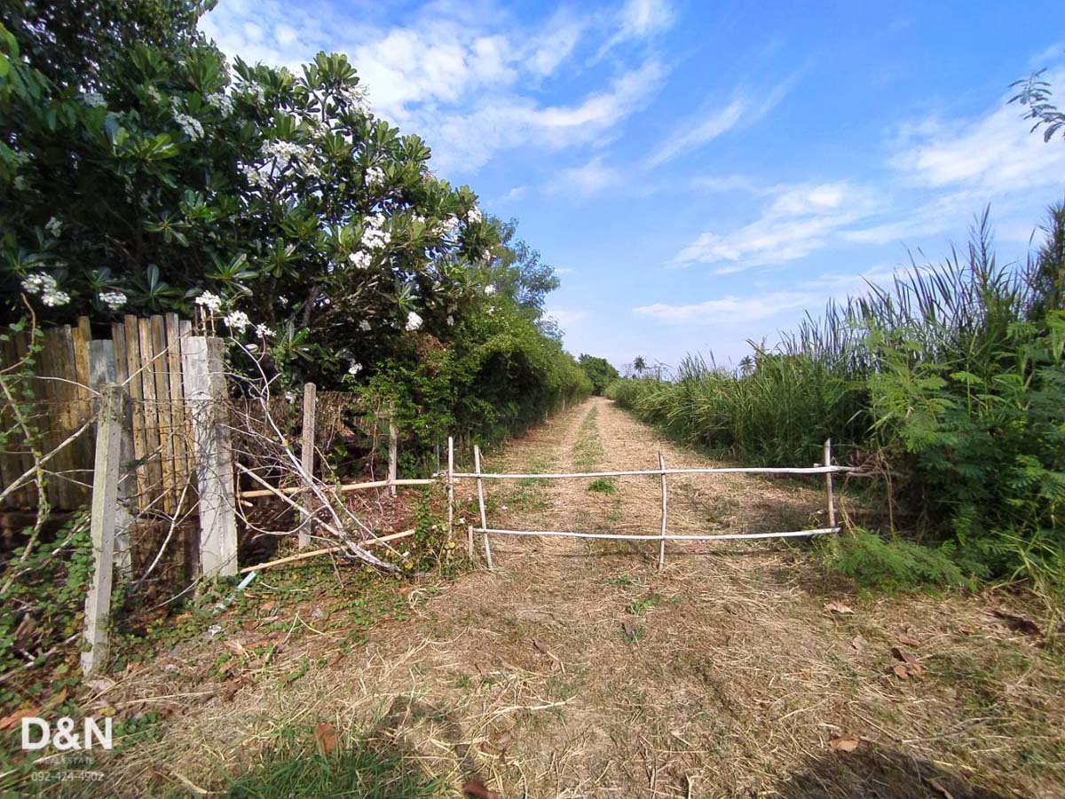 ขาย-ที่ดิน-6-ไร่-ติดคลองดำเนินฯ-บ้านแพ้ว-ใกล้ประตูน้ำบางยาง-ถมแล้วบางส่วน