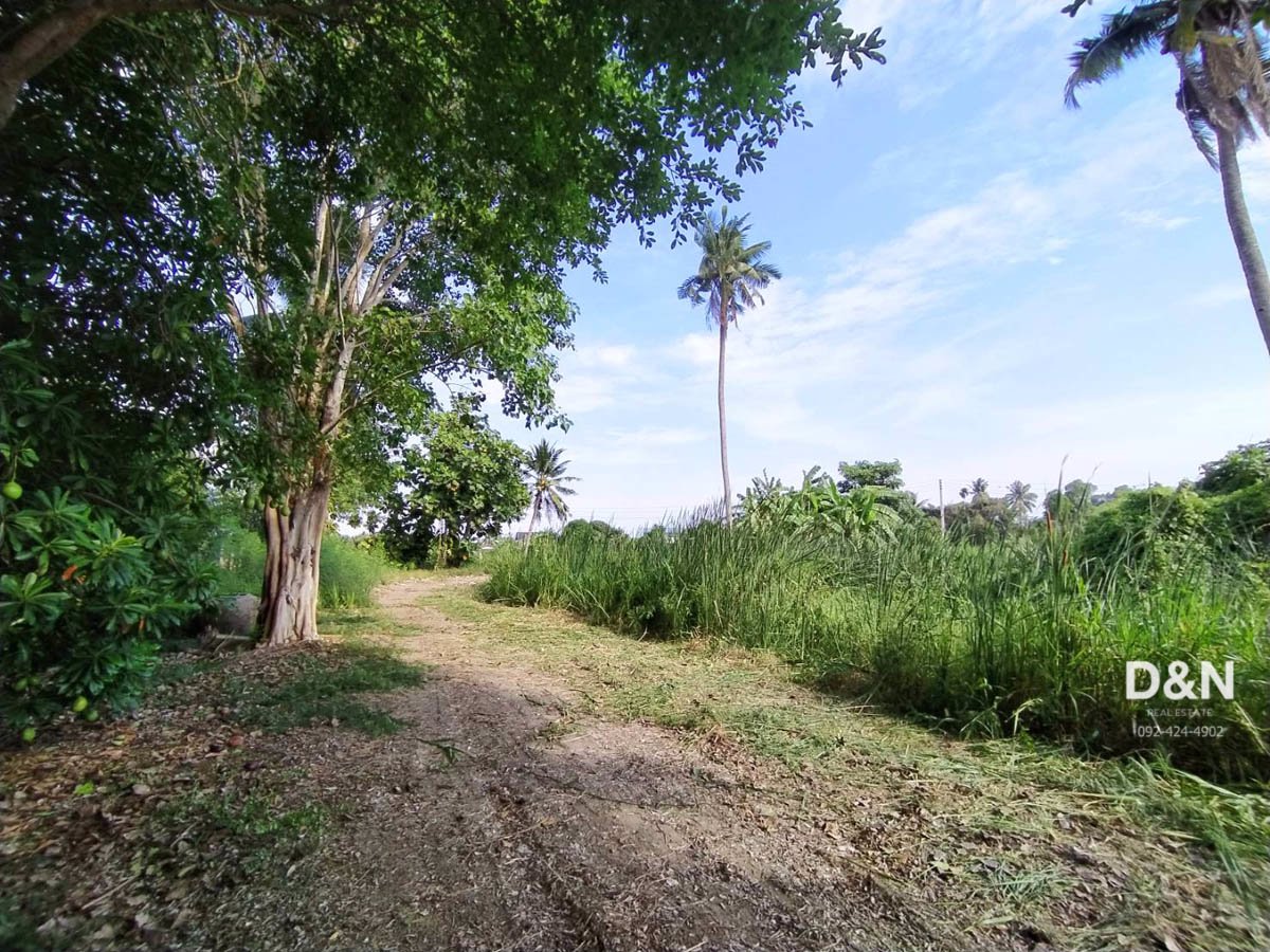 ขาย-ที่ดิน-6-ไร่-ติดคลองดำเนินฯ-บ้านแพ้ว-ใกล้ประตูน้ำบางยาง-ถมแล้วบางส่วน