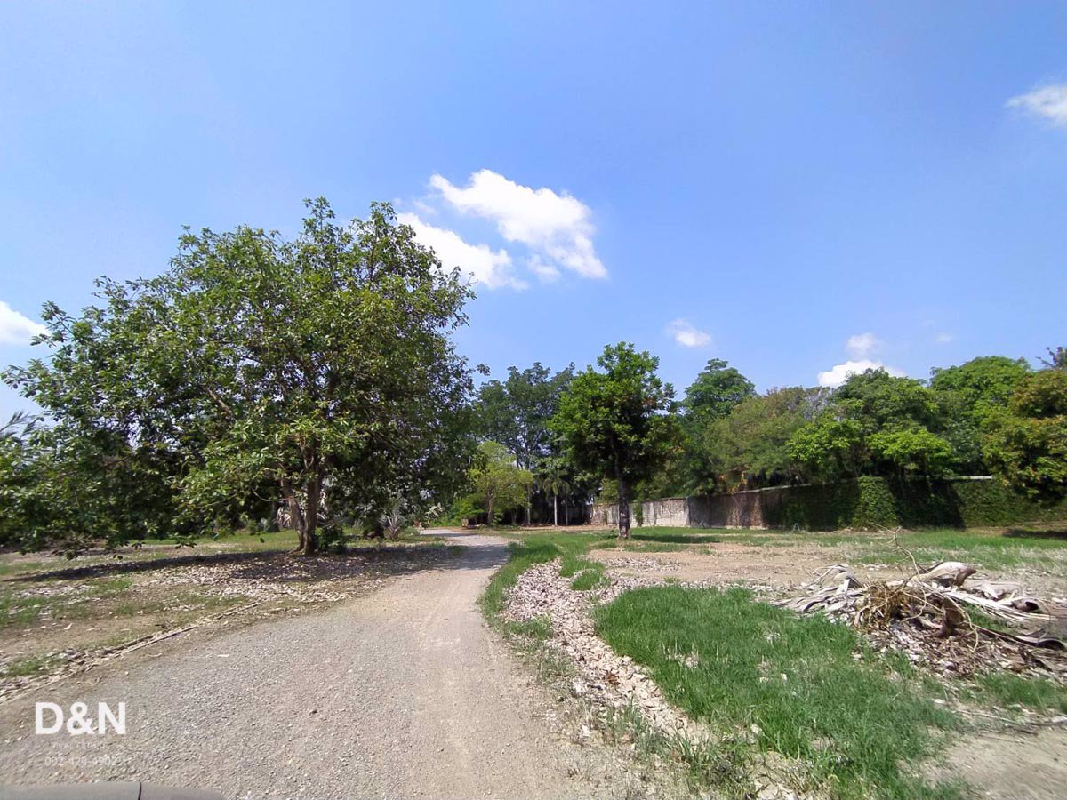 ขาย-ที่ดิน-6-ไร่-ริมแม่น้ำท่าจีน-กระทุ่มแบน-สมุทรสาคร-ทำเขื่อน-ถมแล้วเต็มพื้นที่