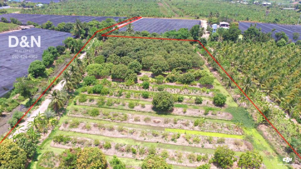 ขาย-ที่ดิน-10-ไร่-ริมแม่น้ำท่าจีน-กระทุ่มแบน-สมุทรสาคร-แปลงร่องสวนผลไม้-ทำเขื่อนแล้ว