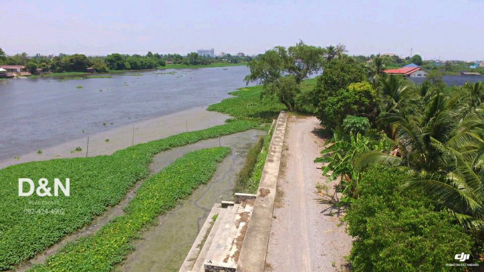ขาย-ที่ดิน-10-ไร่-ริมแม่น้ำท่าจีน-กระทุ่มแบน-สมุทรสาคร-แปลงร่องสวนผลไม้-ทำเขื่อนแล้ว