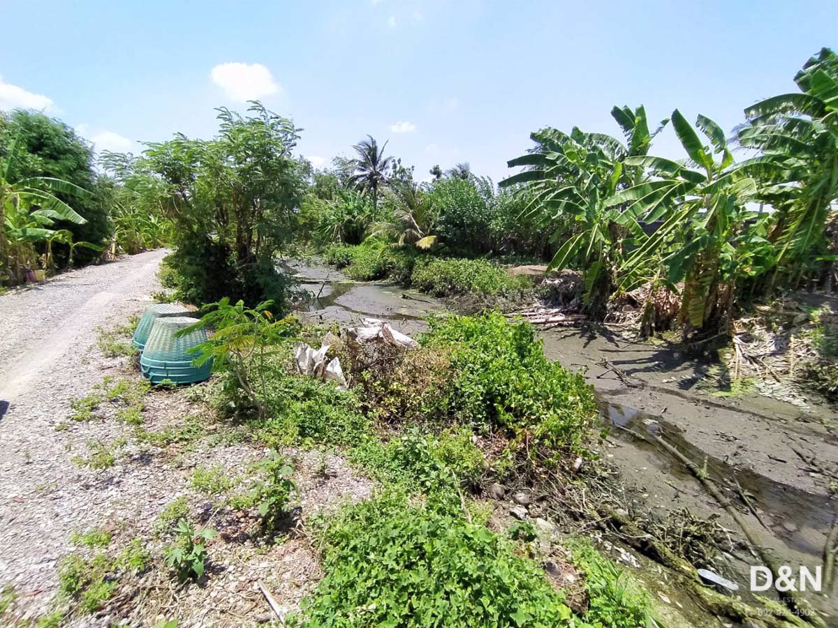 ขาย-ที่ดิน-10-ไร่-ริมแม่น้ำท่าจีน-กระทุ่มแบน-สมุทรสาคร-แปลงร่องสวนผลไม้-ทำเขื่อนแล้ว