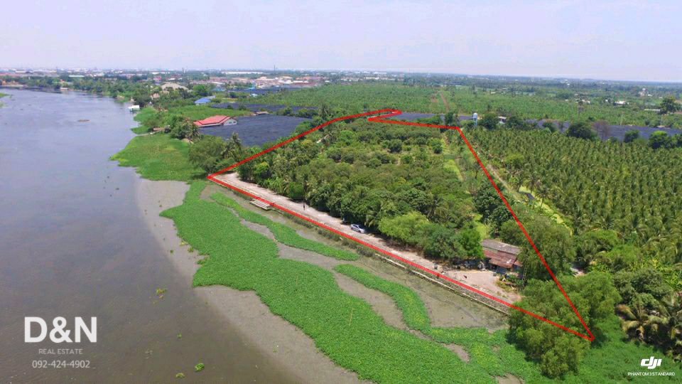 ขาย-ที่ดิน-10-ไร่-ริมแม่น้ำท่าจีน-กระทุ่มแบน-สมุทรสาคร-แปลงร่องสวนผลไม้-ทำเขื่อนแล้ว