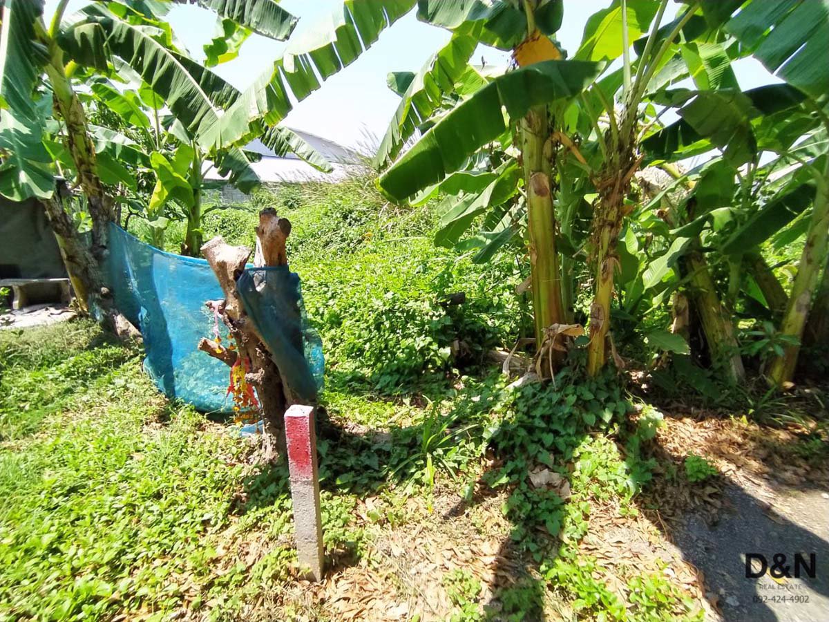 ขาย-ที่ดิน-1-ไร่-กระทุ่มแบน-ใกล้เขตบางปลา-คลองสี่วา-ใกล้ถนนหลักเส้นเรียบคลองน้อย