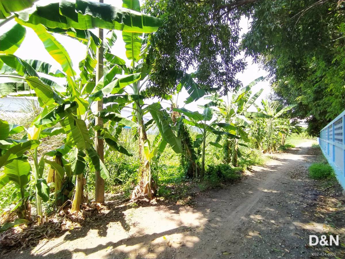 ขาย-ที่ดิน-1-ไร่-กระทุ่มแบน-ใกล้เขตบางปลา-คลองสี่วา-ใกล้ถนนหลักเส้นเรียบคลองน้อย